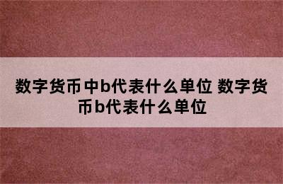 数字货币中b代表什么单位 数字货币b代表什么单位